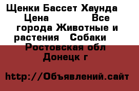 Щенки Бассет Хаунда  › Цена ­ 25 000 - Все города Животные и растения » Собаки   . Ростовская обл.,Донецк г.